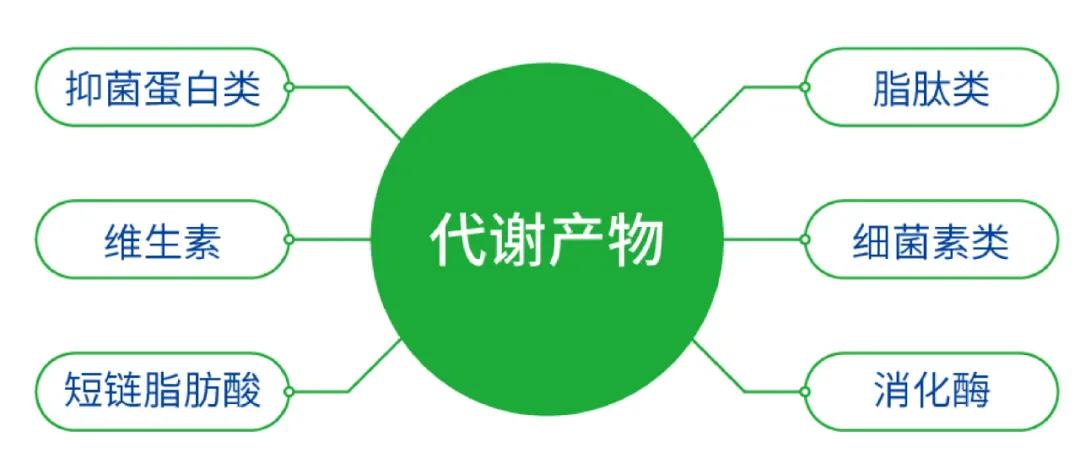1618795574978284.jpg 5.jpg