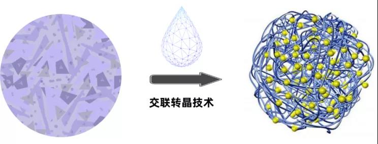 1621473424359745.jpg