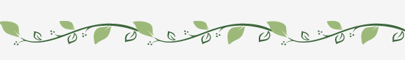 1624242297104459.png image.png