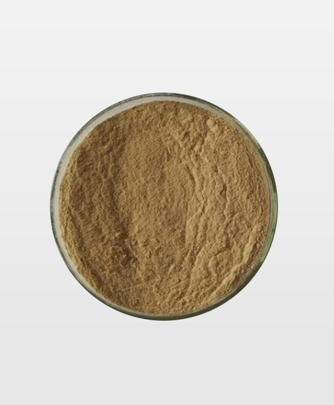 ⻉莱斯芽孢杆菌